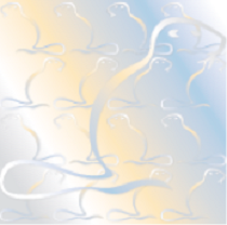 kiwa beaver image
